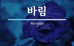 바림 뜻: ‘바다’의 방언