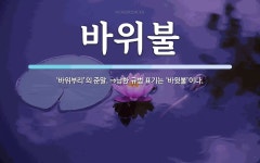 바위불 뜻: ‘바위부리’의 준말. ⇒남한 규범 표기는 ‘바윗불’이다.