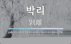 박리 뜻: 금속을 입힌 표면이나 칠을 칠한 표면에서 그 일부가 벗겨져 떨어지는 일.