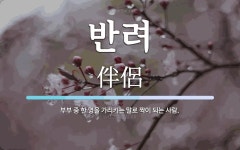 반려 뜻: 부부 중 한 명을 가리키는 말로 짝이 되는 사람.