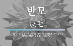 반모 뜻: 모직물이나 솜, 털실의 지스러기를 처리하여 원모(原毛) 상태로 만든 재제품(再製品)을 통틀