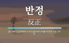 반정 뜻: 옳지 못한 임금을 폐위하고 새 임금을 세워 나라를 바로잡음. 또는 그런 일.