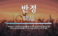 반정 뜻: 화산암이나 반심성암(半深成巖)에서, 작은 알갱이 모양 결정의 집합 속이나 유리질 속에 흩어