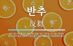 반추 뜻: 한번 삼킨 먹이를 다시 게워 내어 씹음. 또는 그런 일. 소나 염소 따위와 같이 소화가 힘