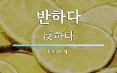 반하다 뜻: 반대가 되다.