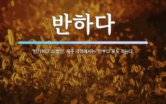 반하다 뜻: ‘반기하다’의 방언. 제주 지역에서는 ‘반\uf537다’로도 적는다.