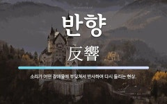 반향 뜻: 소리가 어떤 장애물에 부딪쳐서 반사하여 다시 들리는 현상.