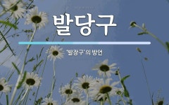 발당구 뜻: ‘발장구’의 방언