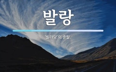 발랑 뜻: ‘발라당’의 준말.