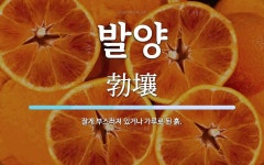 발양 뜻: 잘게 부스러져 있거나 가루로 된 흙.