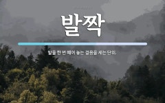 발짝 뜻: 발을 한 번 떼어 놓는 걸음을 세는 단위.