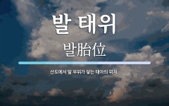 발 태위 뜻: 산도에서 발 부위가 닿는 태아의 위치.