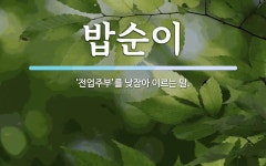 밥순이 뜻: ‘전업주부’를 낮잡아 이르는 말.