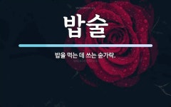 밥술 뜻: 밥을 먹는 데 쓰는 숟가락.