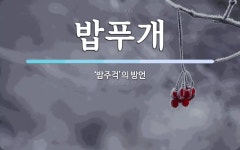 밥푸개 뜻: ‘밥주걱’의 방언