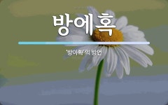방에혹 뜻: ‘방아확’의 방언