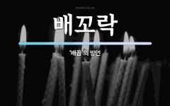 배꼬락 뜻: ‘배꼽’의 방언