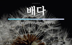 배다 뜻: 느낌, 생각 따위가 깊이 느껴지거나 오래 남아 있다.