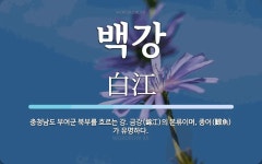 백강 뜻: 충청남도 부여군 북부를 흐르는 강. 금강(錦江)의 본류이며, 종어(鯮魚)가 유명하다.