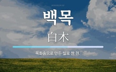백목 뜻: 목화솜으로 만든 실로 짠 천.