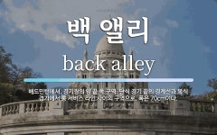 백 앨리 뜻: 배드민턴에서, 경기장의 양 끝 쪽 구역. 단식 경기 끝의 경계선과 복식 경기에서 롱 서비스