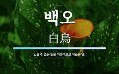 백오 뜻: 있을 수 없는 일을 비유적으로 이르는 말.
