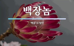 백장놈 뜻: ‘백장’의 방언