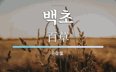 백초 뜻: 온갖 풀.