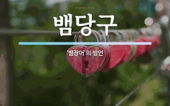 뱀당구 뜻: ‘뱀장어’의 방언