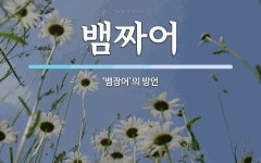 뱀짜어 뜻: ‘뱀장어’의 방언