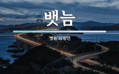 뱃늠 뜻: ‘뱃놈’의 방언