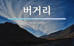버거리 뜻: ‘바구미’의 방언