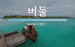 버둘 뜻: ‘버들’의 방언