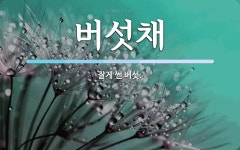 버섯채 뜻: 잘게 썬 버섯.