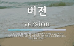 버전 뜻: 한 소프트웨어를 서로 다른 시스템 환경에서 사용할 수 있도록 각각 제작된 프로그램을 이르는