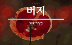 버지 뜻: ‘비지’의 방언