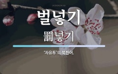 벌넣기 뜻: ‘자유투’의 북한어.