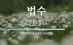법수 뜻: 방법과 수단을 아울러 이르는 말.