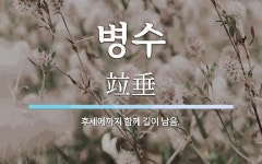 병수 뜻: 후세에까지 함께 길이 남음.