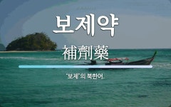 보제약 뜻: ‘보제’의 북한어.