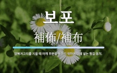 보포 뜻: 양복저고리를 지을 때 어깨 부분을 돋우기 위하여 안에 넣는 헝겊 뭉치.