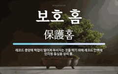 보호 홈 뜻: 레코드 중앙에 픽업이 떨어져 부서지는 것을 막기 위해 레코드 안쪽에 인각된 동심원 상의 홈