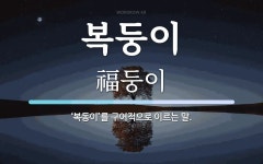 복둥이 뜻: ‘복동이’를 구어적으로 이르는 말.