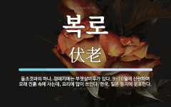 복로 뜻: 돌조갯과의 하나. 껍데기에는 부챗살마루가 있다. 9~10월에 산란하며 모래 진흙 속에 사는