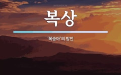 복상 뜻: ‘복숭아’의 방언