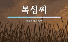 복성씨 뜻: ‘복숭아씨’의 방언