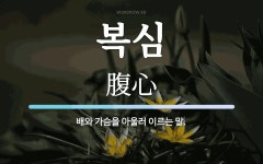 복심 뜻: 배와 가슴을 아울러 이르는 말.