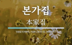 본가집 뜻: ‘친정집’의 북한어. ⇒남한 규범 표기는 ‘본갓집’이다.