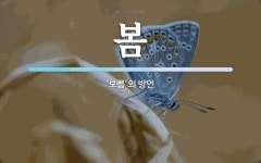 봄 뜻: ‘보름’의 방언
