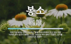 봉소 뜻·의미 | 국어 사전 | 워드로